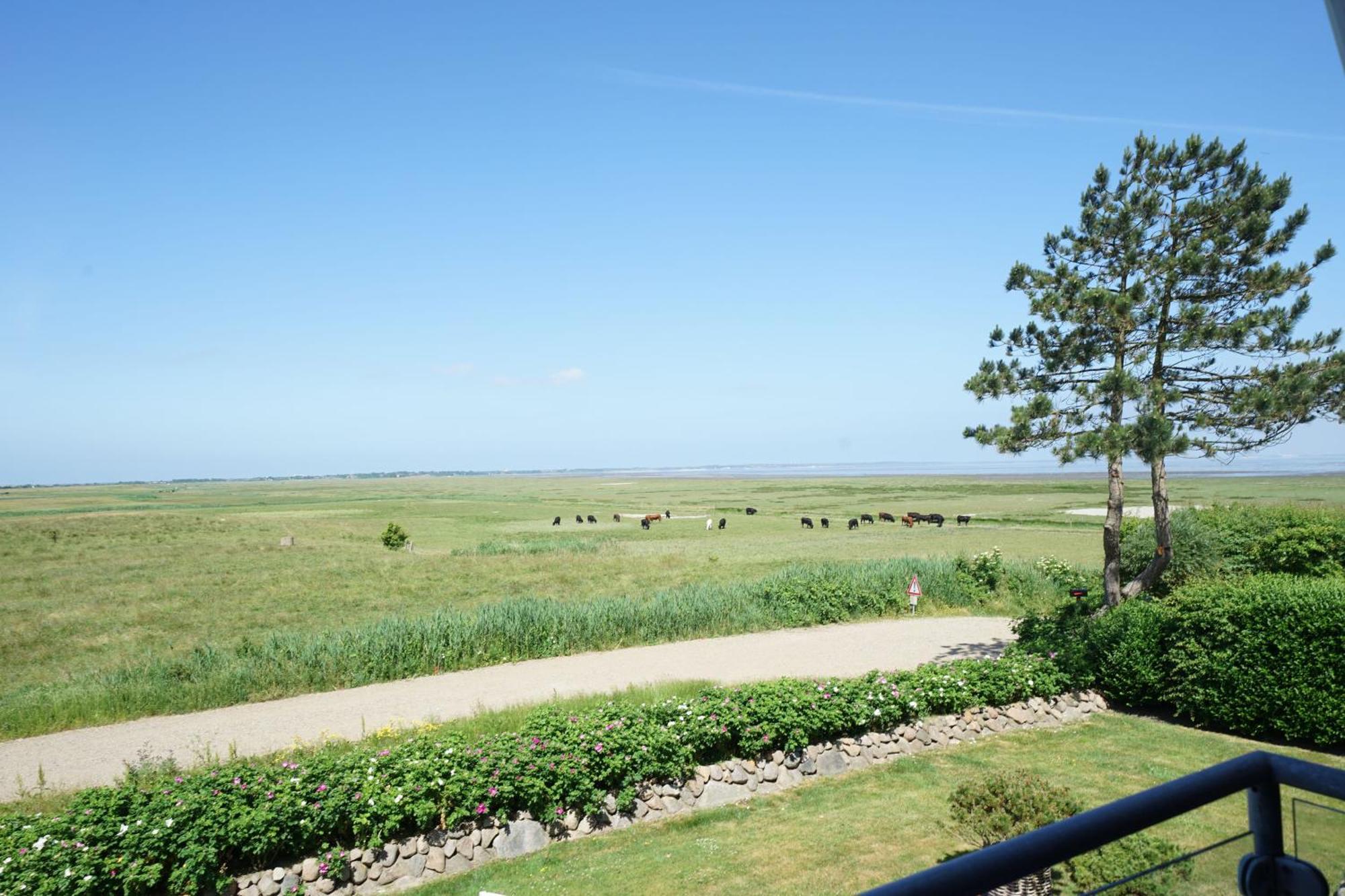 Schoene In Morsum * Morsum (Sylt)